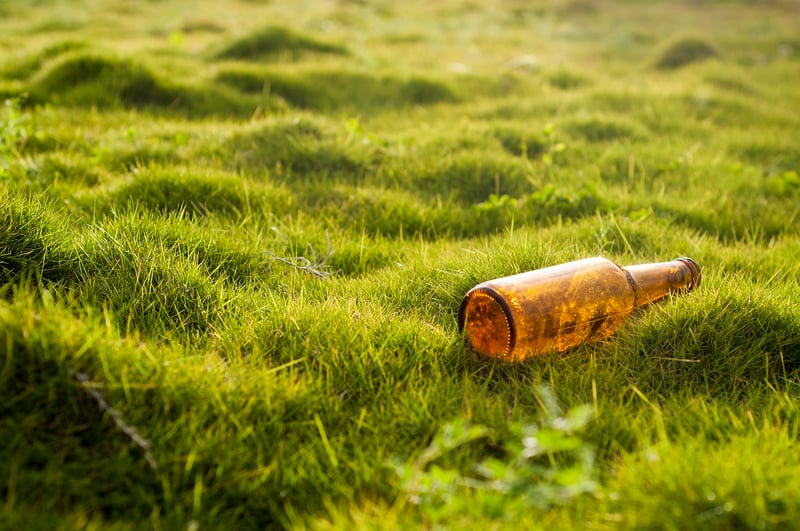 Environmental Impact