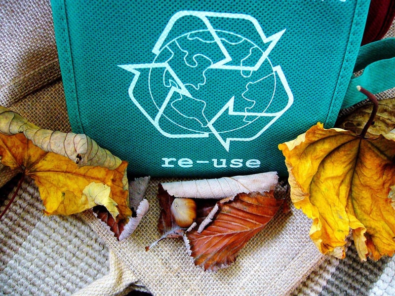 Creative planters from recycled materials